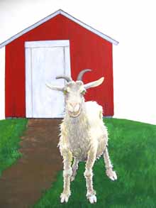 Crissy Goat